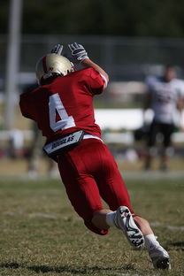 爱游戏app安装-全国青少年跳水锦标赛在深圳火热进行，全国青少年跳水比赛